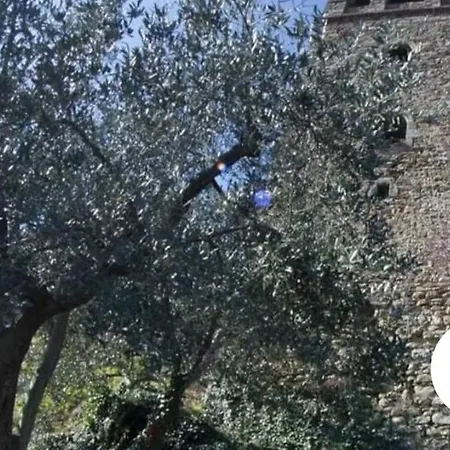 Casa Oracolo